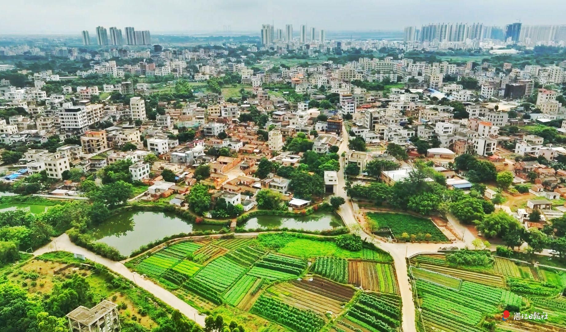 赤坎区北桥街道丰厚村：打造“红色＋生态”美丽乡村
