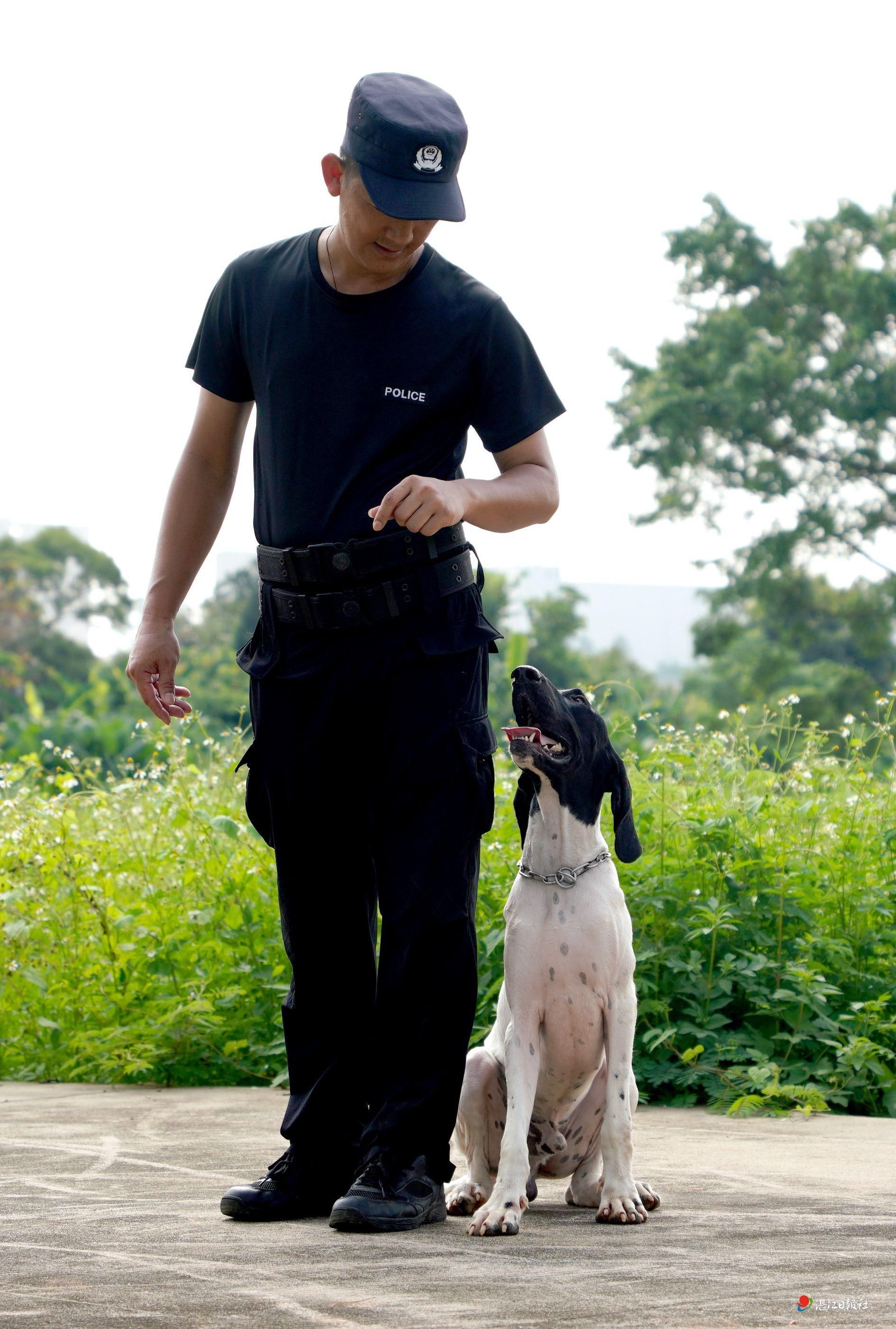 警犬“奇兵”守护平安