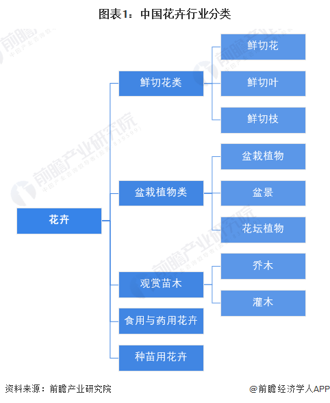 预见2024：《2024年中国花卉行业全景图谱》(附市场规模、竞争格局和发展前景等)