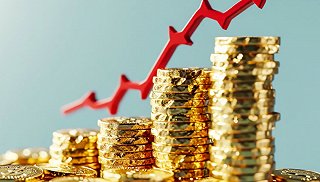 秉扬科技去年营收净利双增，超七成分红入了樊氏家族腰包