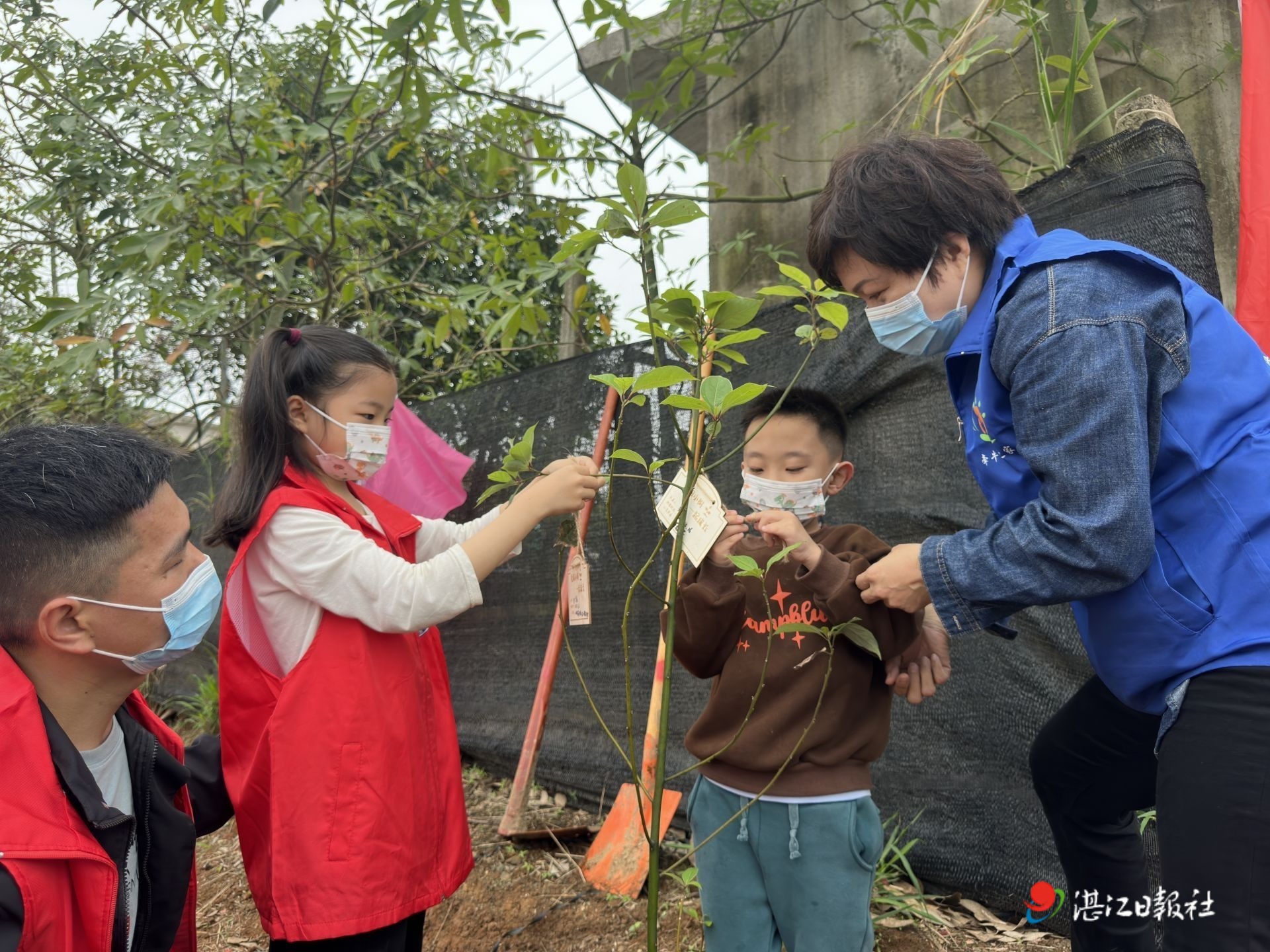 湛江经开区开展融合亲子植树活动