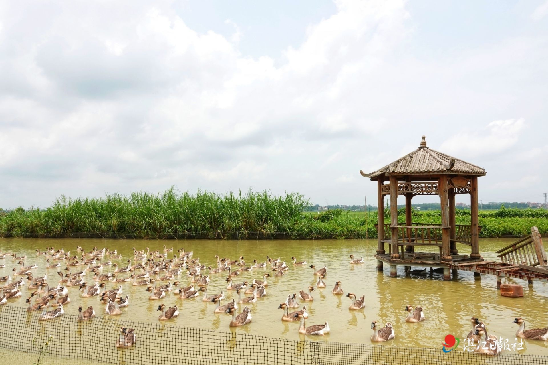 农旅融合发展 绘就乡村振兴新画卷