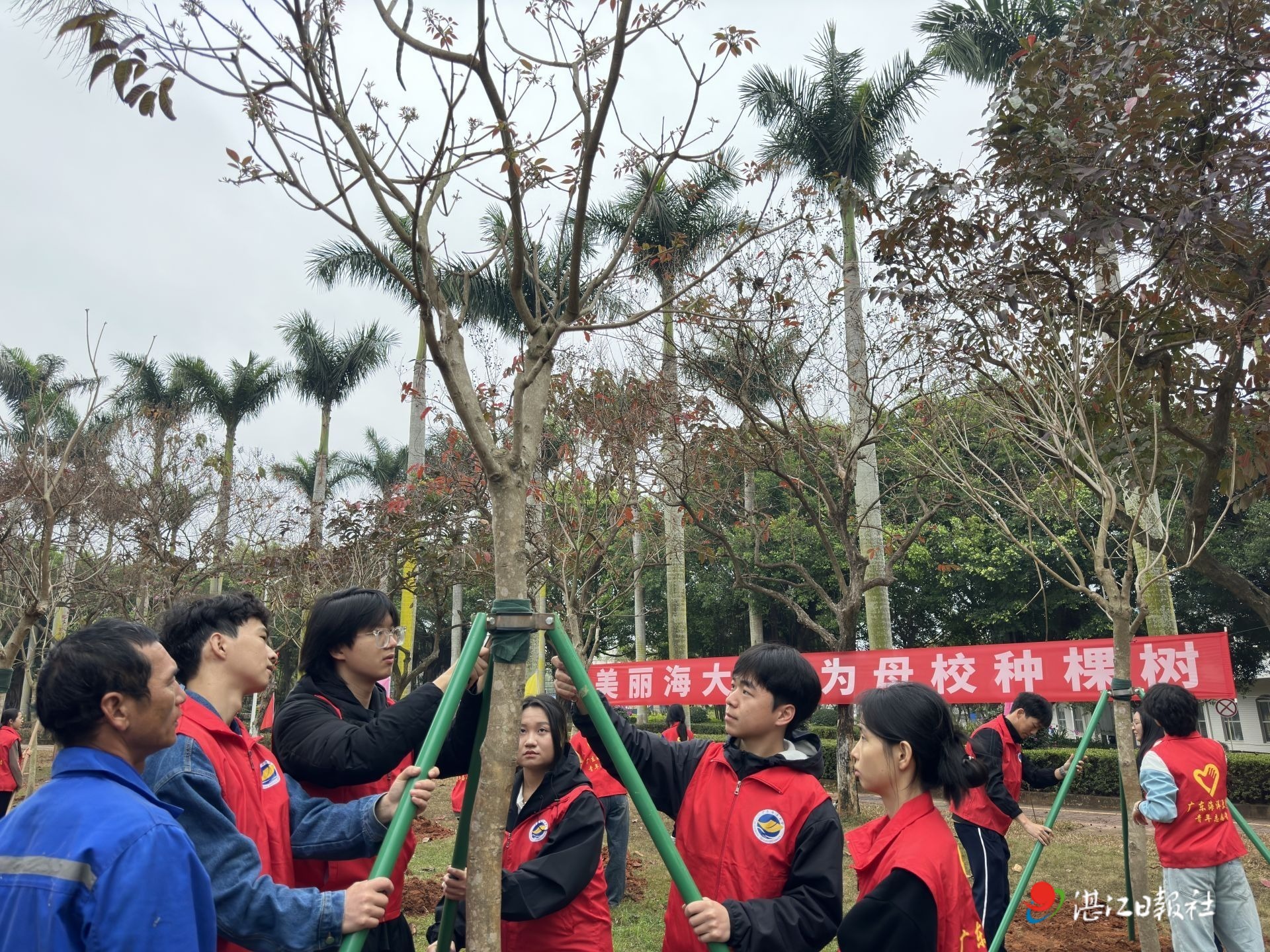 我为母校种棵树！