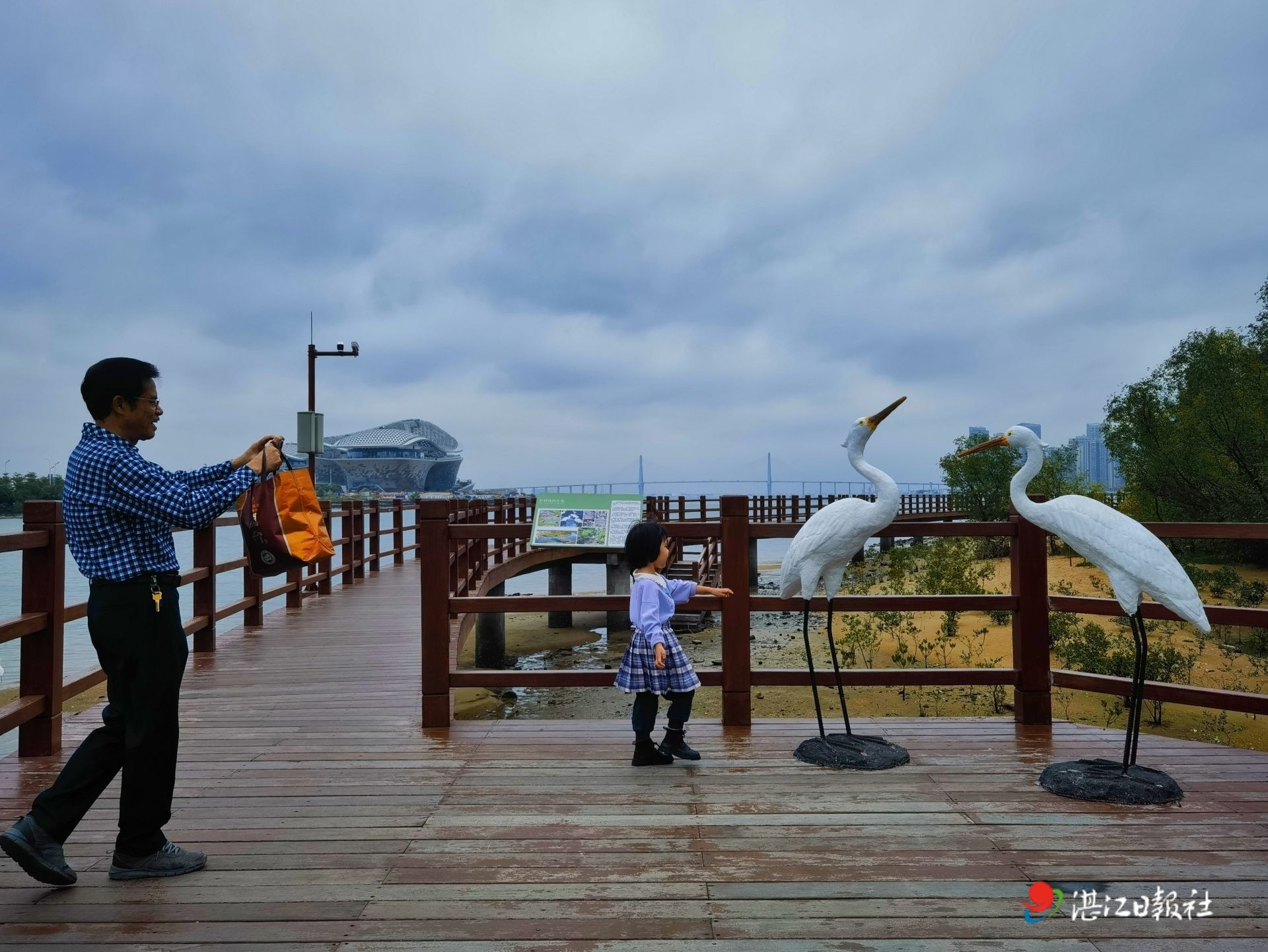 金沙湾红树林栈道添新景