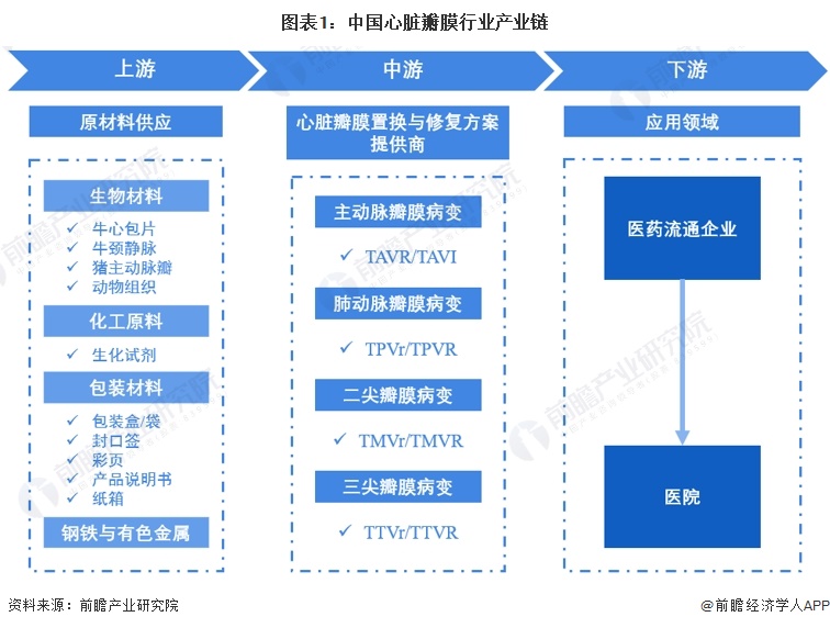 【干货】心脏瓣膜行业产业链全景梳理及区域热力地图