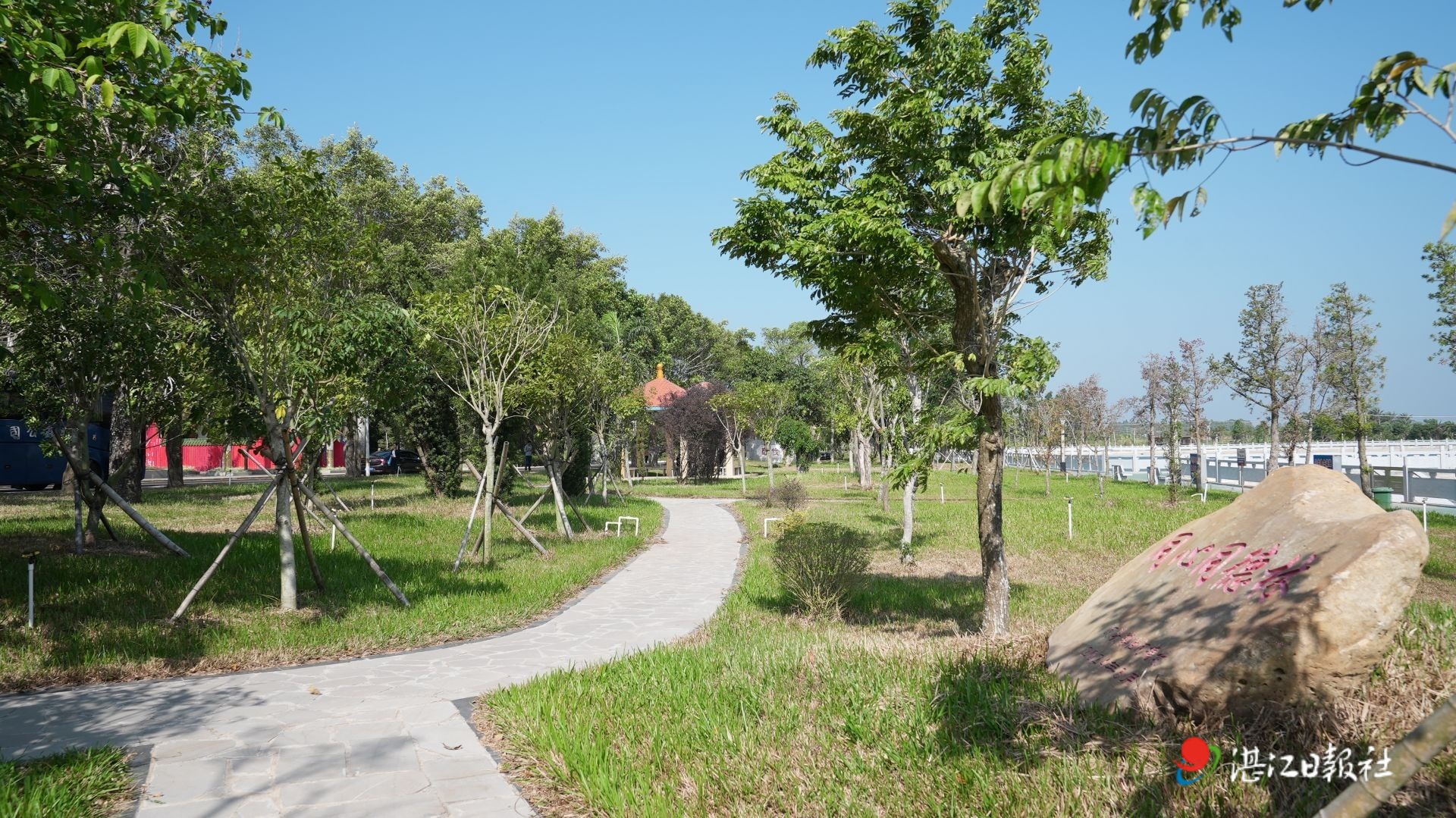 遂溪油河塘村：打造和美乡村新样板