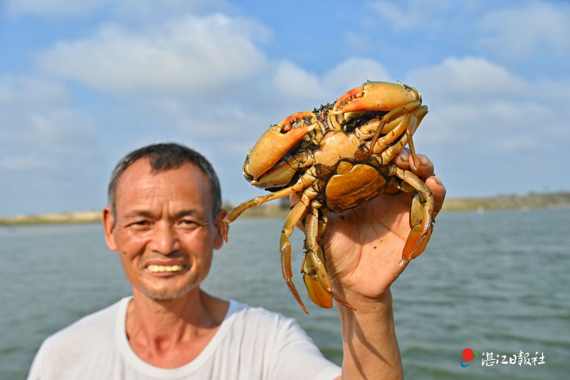 探索“蟹林共生”新模式