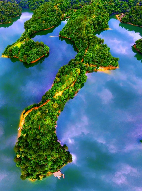 我国湿地保护成效显著 约90%国家湿地公园免费开放