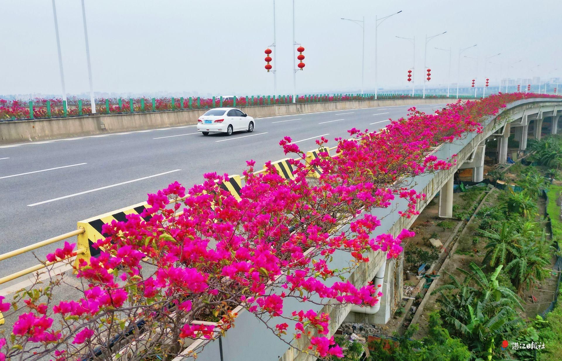 一路繁花一路景