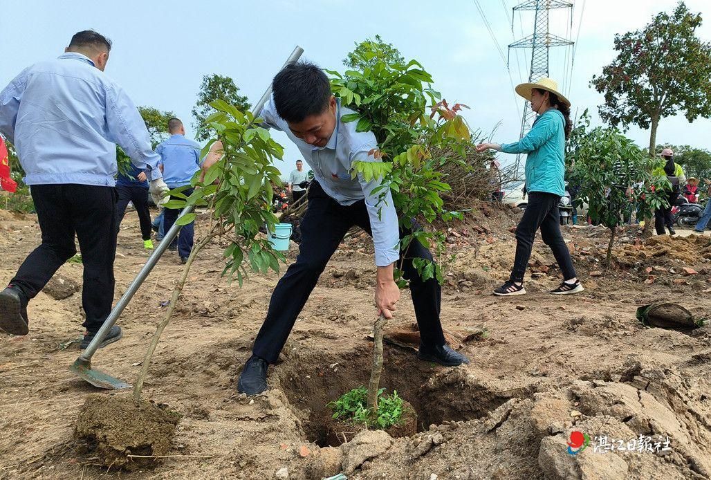 霞山：党群凝心聚“绿” 共建绿美乡村