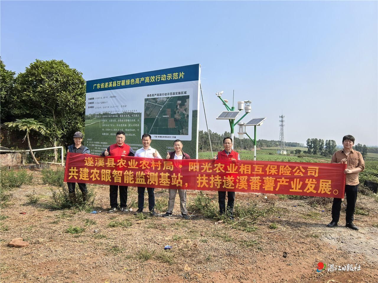 科技赋能遂溪甘薯产业健康发展