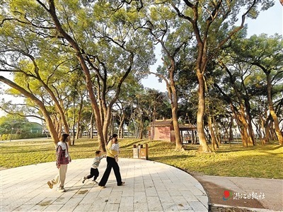 廉江城北香樟公园启用