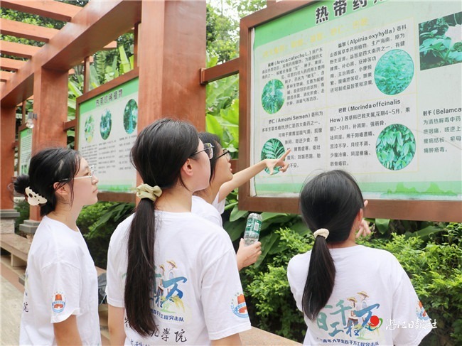 为南药产业发展探寻新思路