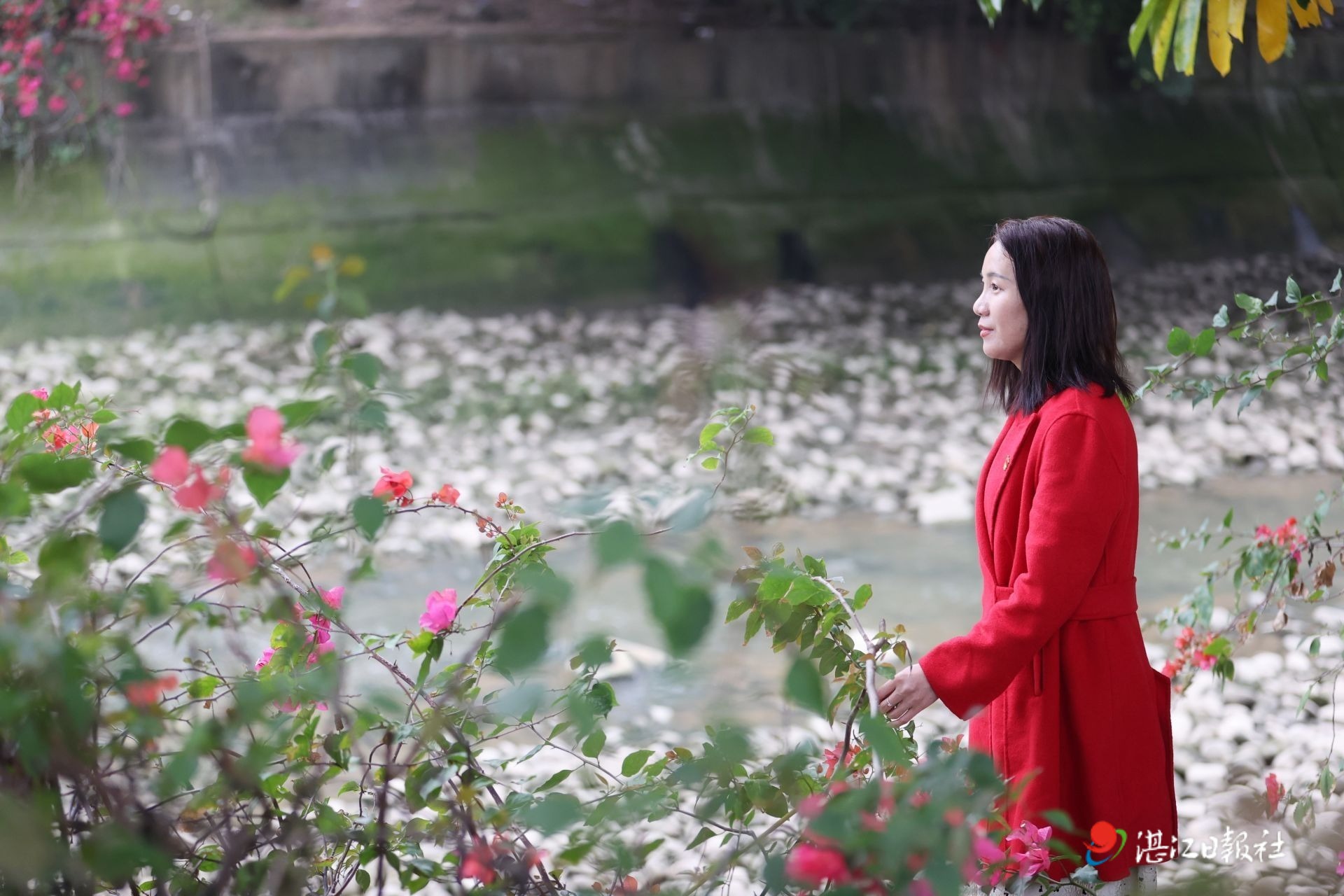水清岸绿景美好风光