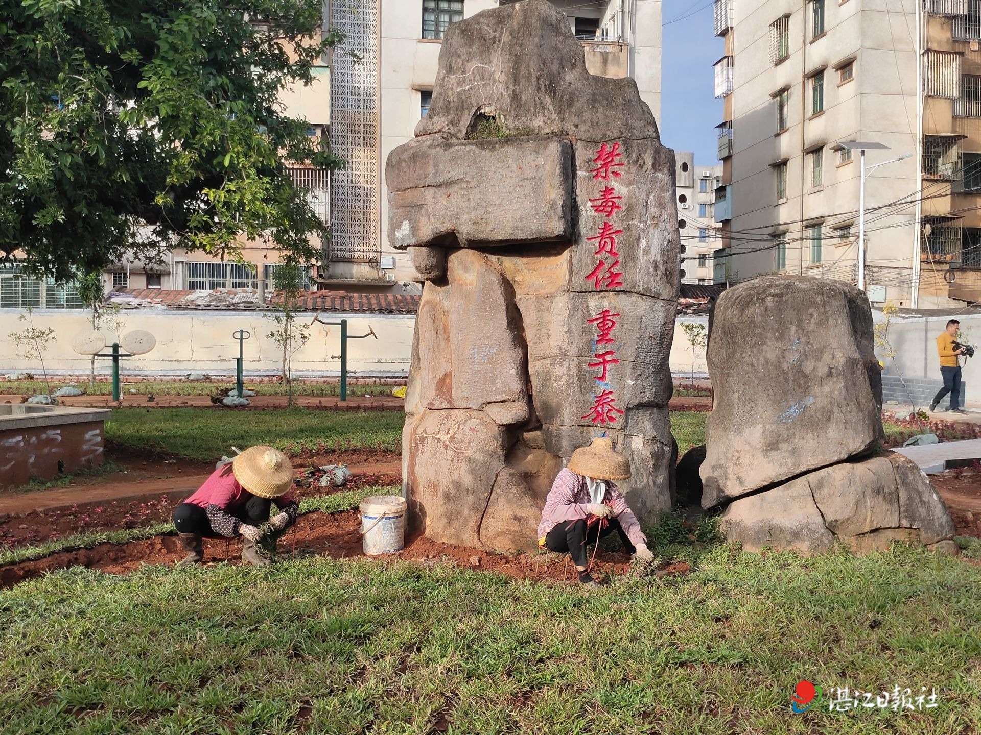 徐闻下桥糖厂社区：旧公园变身绿美生态小公园