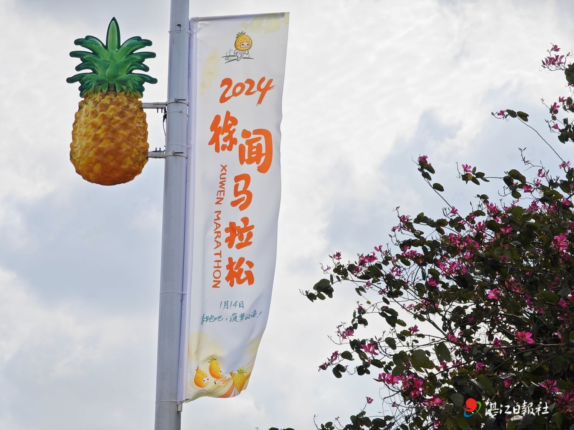 为徐闻“菠萝马”预热！2024徐闻马拉松嘉年华活动举行
