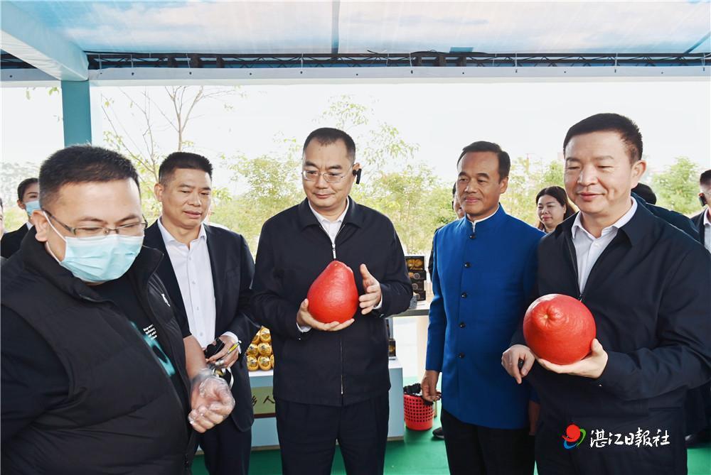 以示范创建为抓手 下足“绣花”功夫  扎实有力推动“百千万工程”落地见效