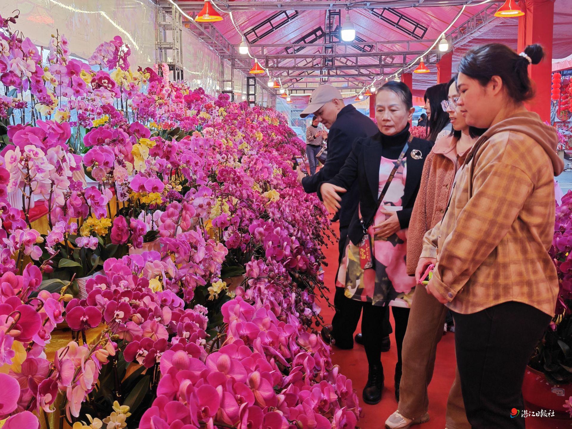 姹紫嫣红春意闹 迎春花市年味浓