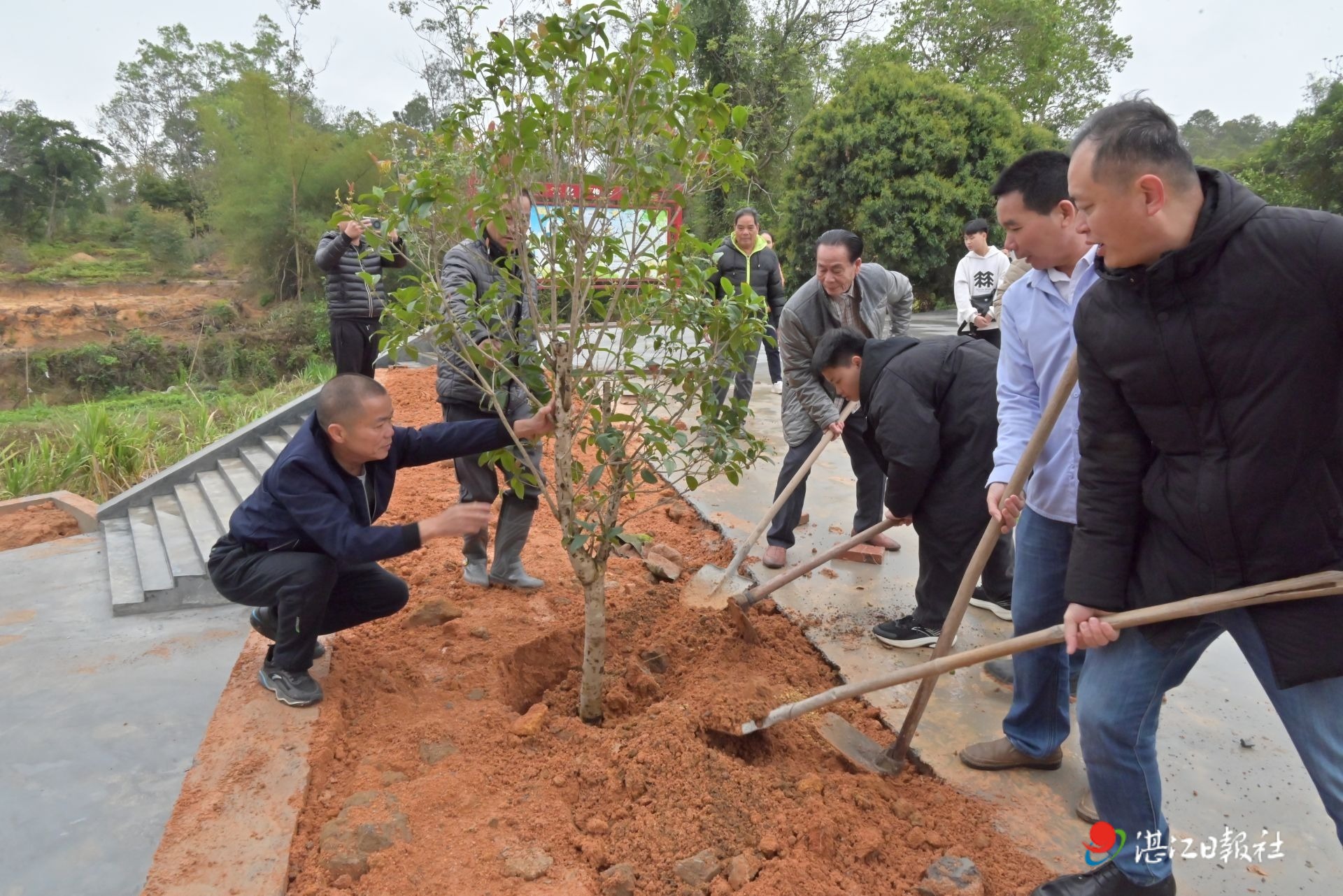 凝心同植新绿  共建绿美乡村