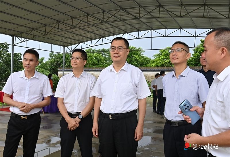 大力推进全域土地综合整治 扎实推动“百千万工程”加力提速