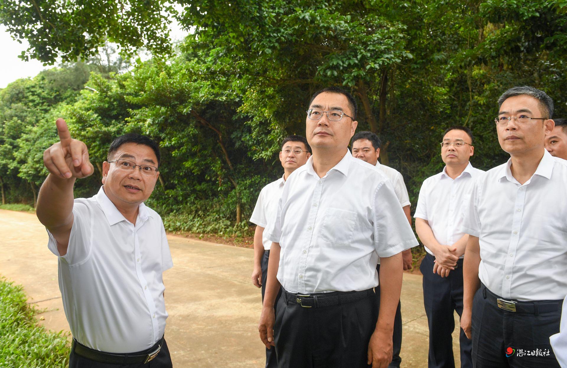 扎实推动全域土地综合整治扩面提质 凝聚推进“百千万工程”的强大合力