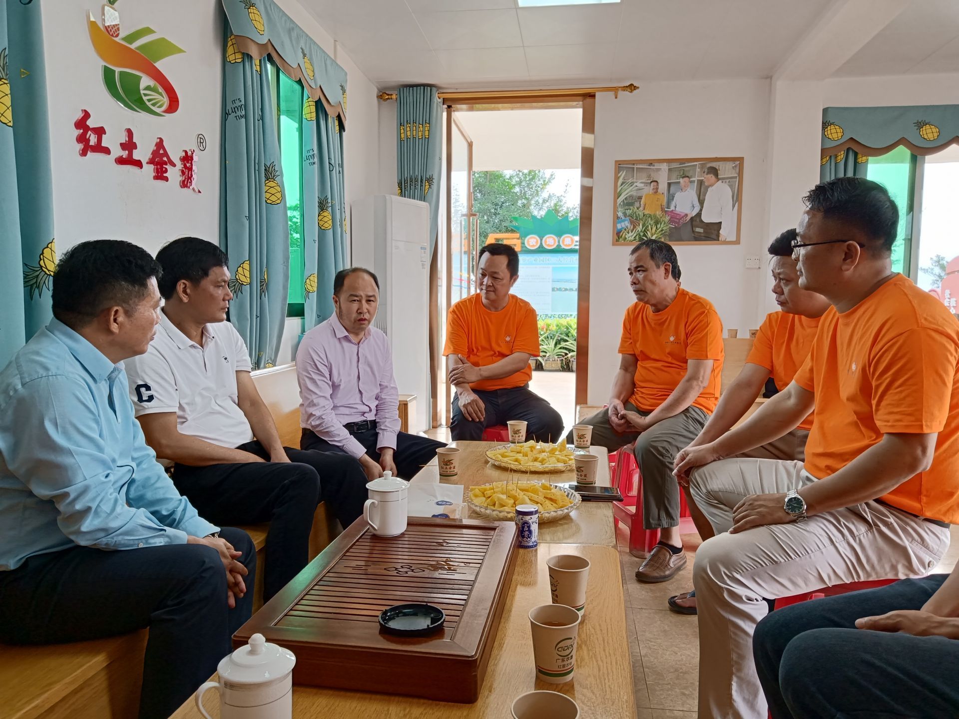 徐闻菠萝协会邀请专家实地析疑解惑
