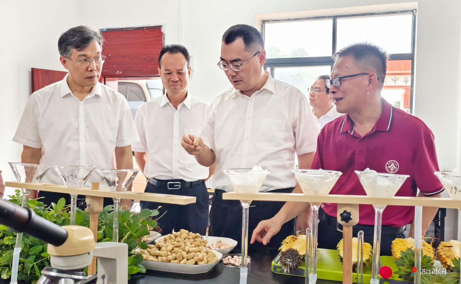 高站位高标准推进全域土地综合整治  全力推动“百千万工程”提质增效