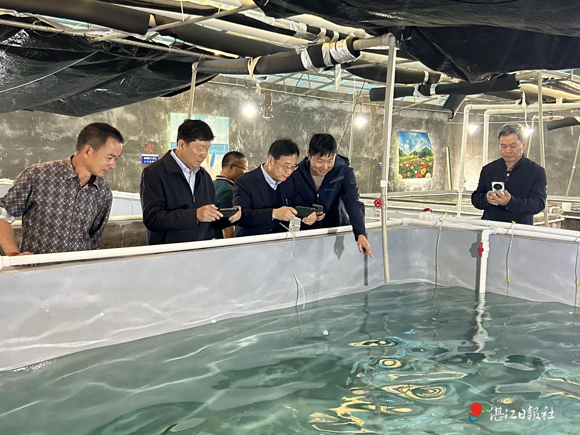装上“湛江芯” 让本土大黄鱼游向世界