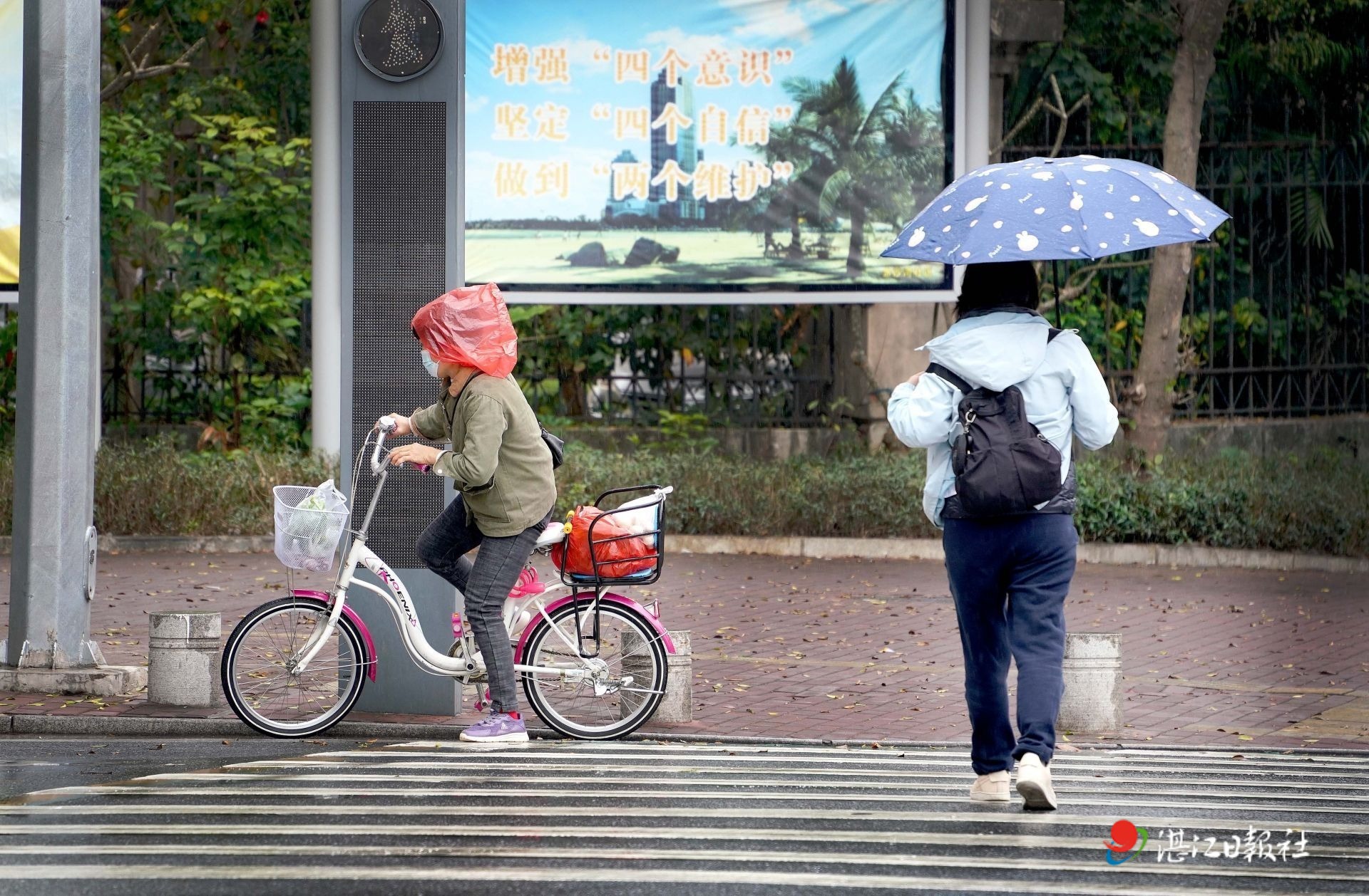 春雨润如酥 纷扬洒港城