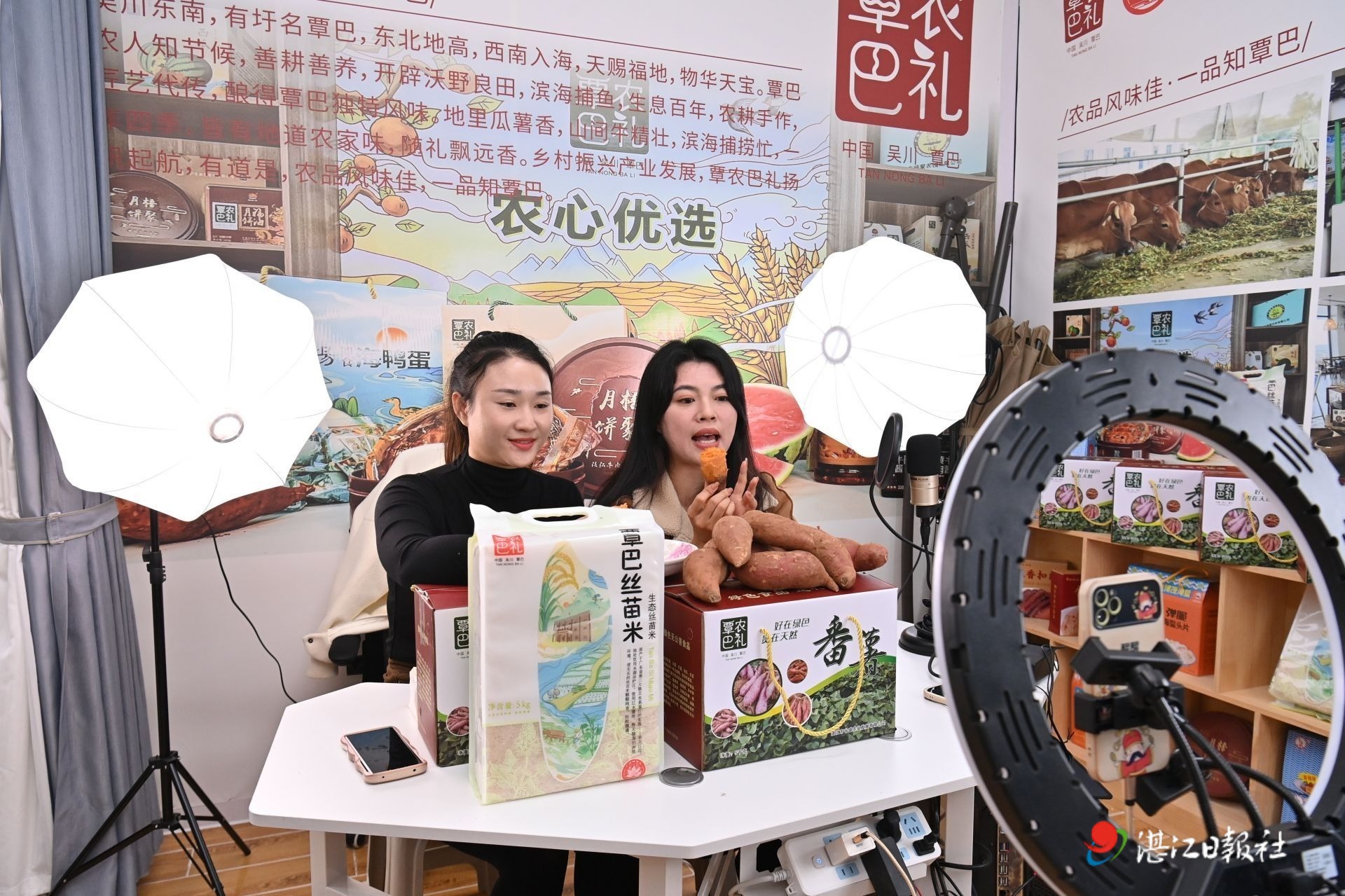 线上线下同频共振  湛江甘薯走俏市场
