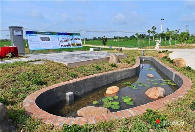 垃圾场变“打卡点” 污水站变“小游园”