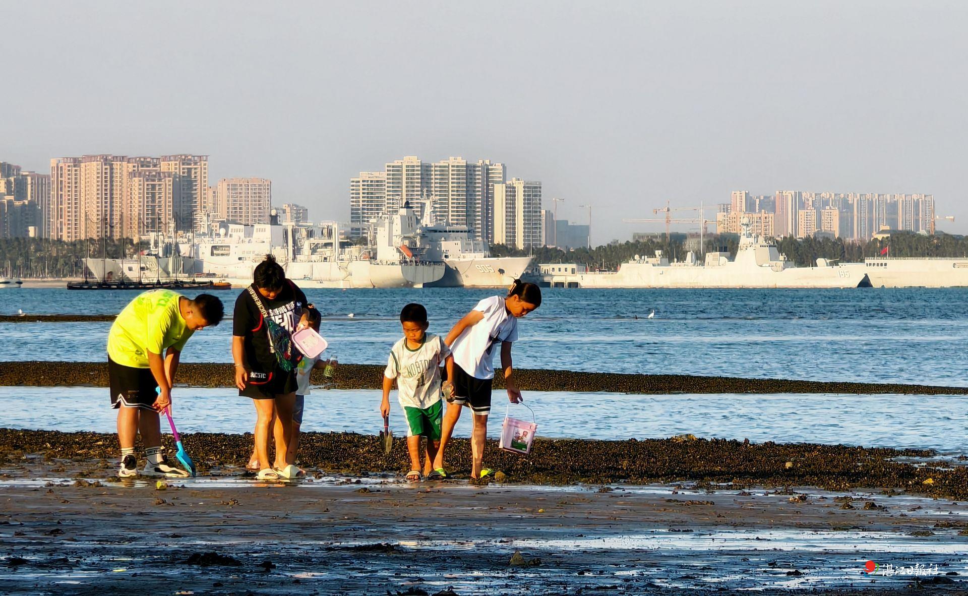 国庆霞山观海长廊的赶海盛景：市民尽享海边乐趣